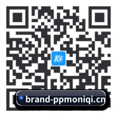 Google Play 二维码